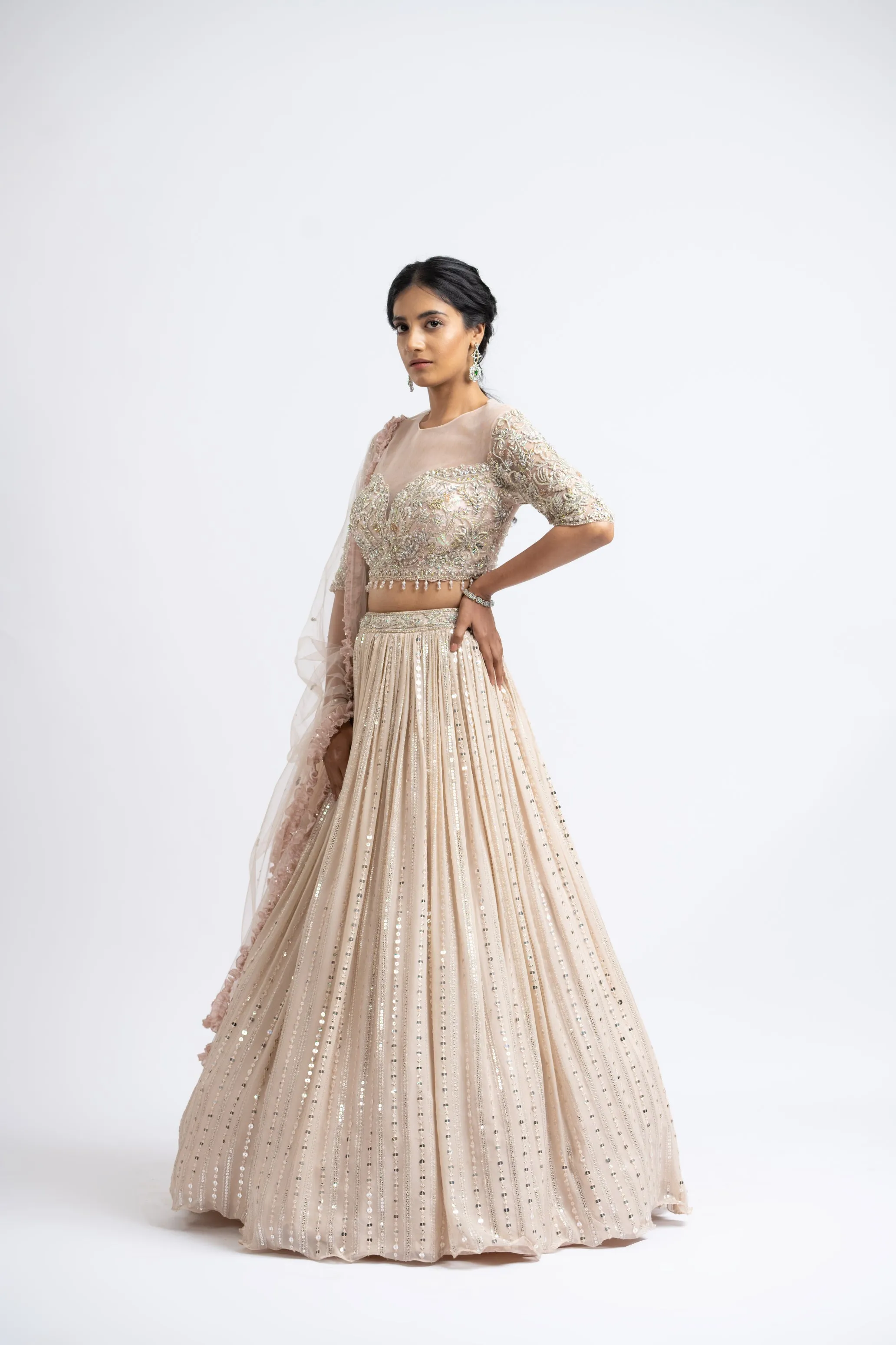 Blush Mirror Work Lehenga Choli Set