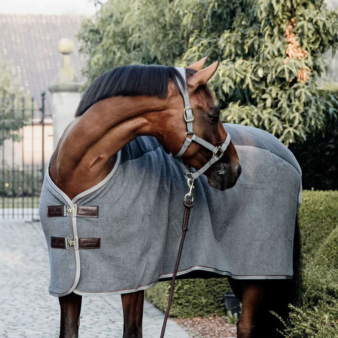 Kentucky Horsewear Heavy Fleece Show Rug - Grey