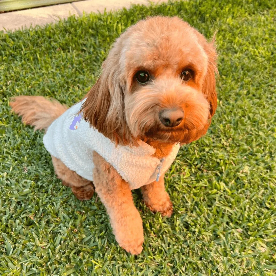 Purple Daisy Reversible Cozy Fleece Vest™