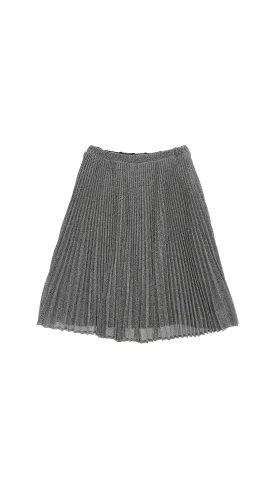 Silver Pleated Frill Skirt